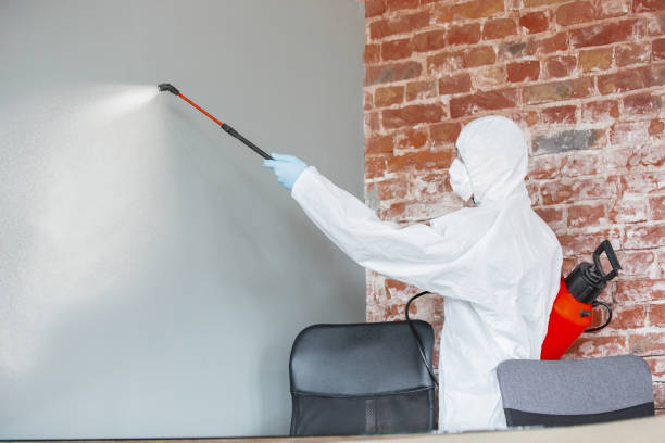 Best Air Quality Testing for Mold Spores  in Park View, IA