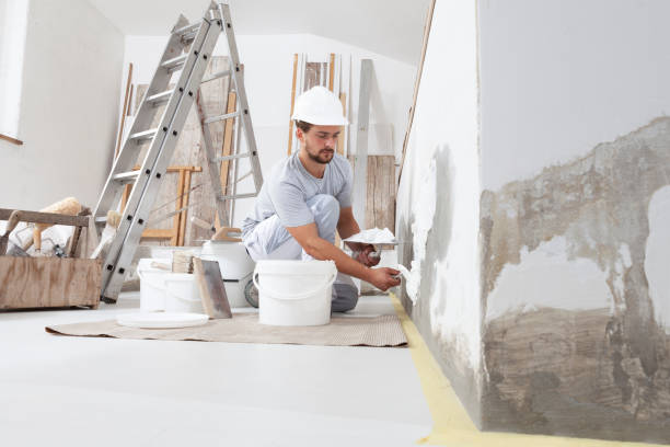 Professional Mold Removal in Park View, IA