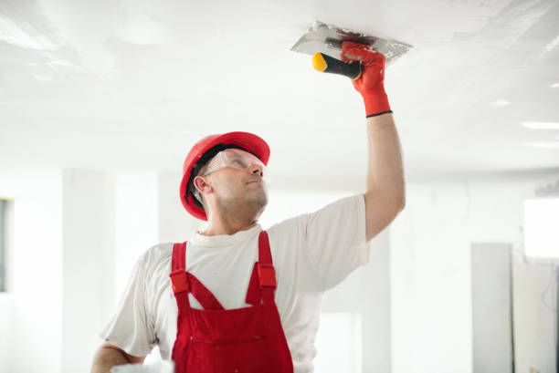 Best Dehumidification Services  in Park View, IA