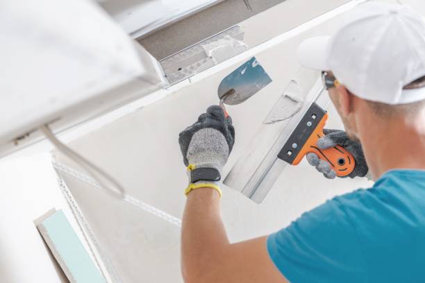 Best Forensic Mold Investigation  in Park View, IA